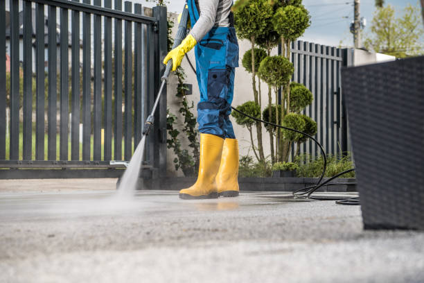 Best Roof Power Washing Services  in Kingstowne, VA